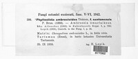 Image Associated With the Occurence